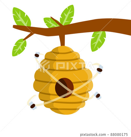 Hive. House of wasp and insect on tree Hive. House of wasp and insect on tree 88080175