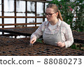 Young woman stands near table with seedlings in large greenhouse and holds rake and shovel in her hands. Gardening, seedlings, sales 88080273