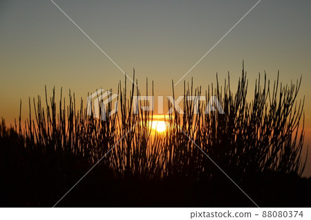 西班牙特內里費島泰德國家公園的黃昏 88080374