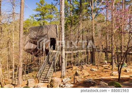 Sunny view of the Childrens Garden Treehouse in Garvan Woodland Gardens Sunny view of the Childrens Garden Treehouse in Garvan Woodland Gardens 88081563