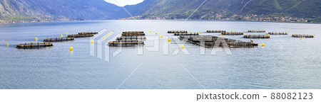 Aquafarming 88082123