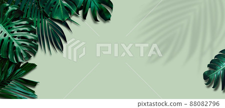 Tropical leaves banner on green background with leaf shadow 88082796