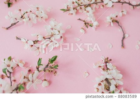 Spring concept made of branches with spring flowers on pink. Flat lay Spring concept made of branches with spring flowers on pink. Flat lay 88083589