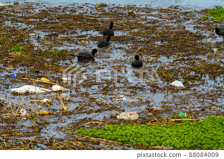 Illegal dumping waste that has been washed away by heavy rain floods Illegal dumping waste that has been washed away by heavy rain floods 88084009