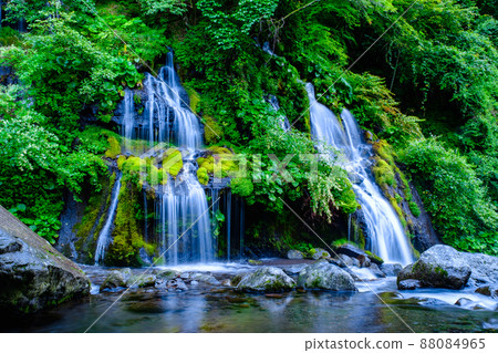 蒼龍瀑布（夏季） 88084965