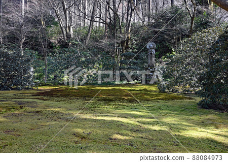 [寺廟和神社]京都大原三善院花園 88084973