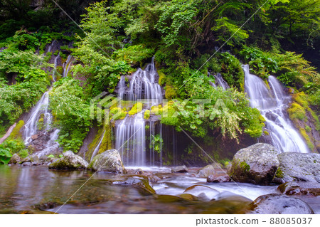 Soryu Waterfall (Summer) Soryu Waterfall (Summer) 88085037