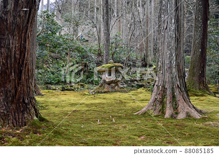 [Temples and shrines] Kyoto Ohara Sanzenin Garden 88085185