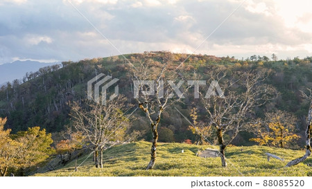Late autumn scene at the summit of Mt. Hidegatake shining in the west sun @ Nara 88085520