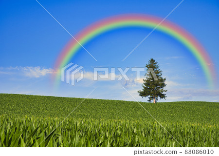 山城美瑛的美麗鄉村風光 88086010