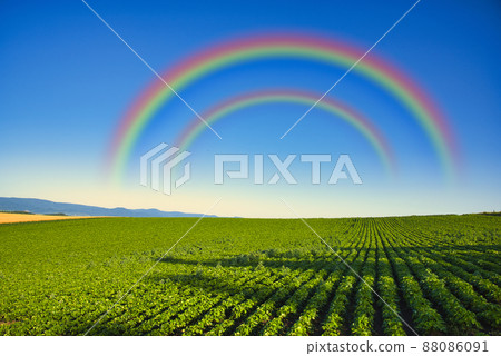 Beautiful rural scenery of the hill town Biei 88086091