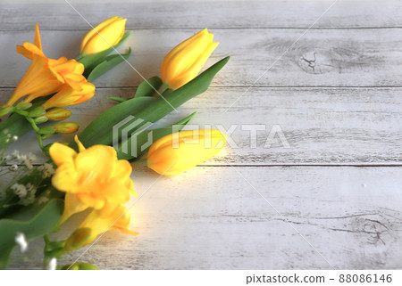 Bright yellow flower 88086146
