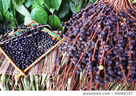 Acai from the Amazon, Brazil Acai from the Amazon, Brazil 88086187