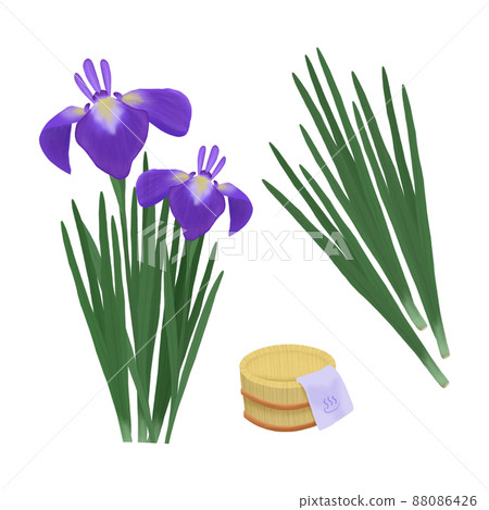 Illustration set of irises and iris leaves, tubs, and hand towels. Children's Day Illustration set of irises and iris leaves, tubs, and hand towels. Children's Day 88086426