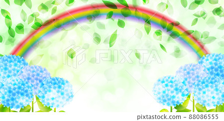 Hydrangea fresh green rainbow background Hydrangea fresh green rainbow background 88086555