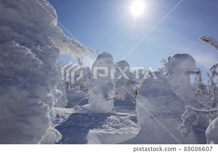 趙氏雪怪照片 88086607