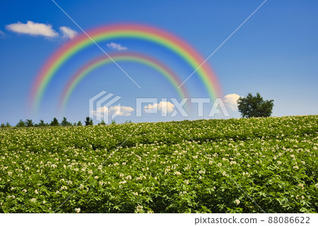 Beautiful rural scenery of the hill town Biei 88086622