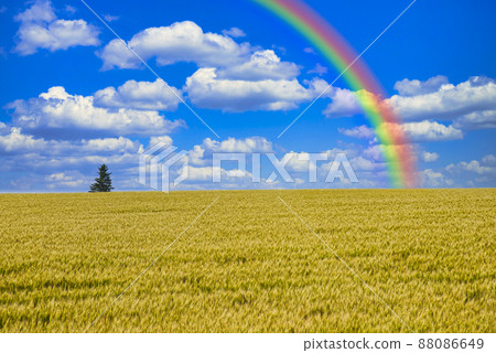 Beautiful rural scenery of the hill town Biei Beautiful rural scenery of the hill town Biei 88086649