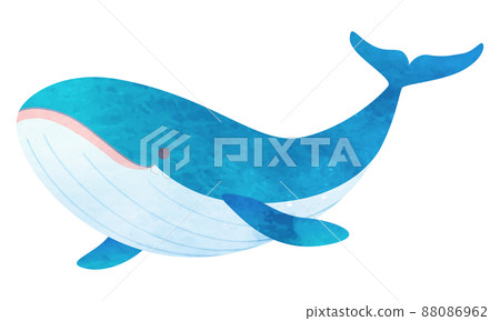 Whale vector illustration 88086962