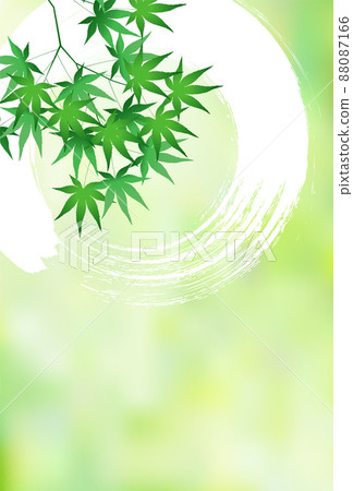新綠色楓葉背景 88087166