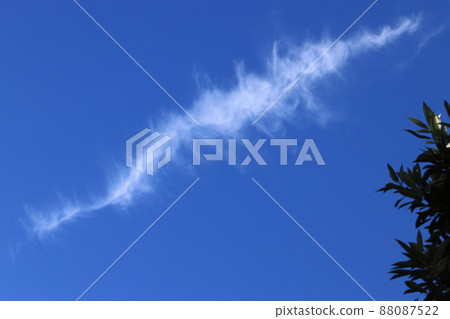 Natural weather, cirrus vertebra, short length. It ’s like a fish swimming. 88087522