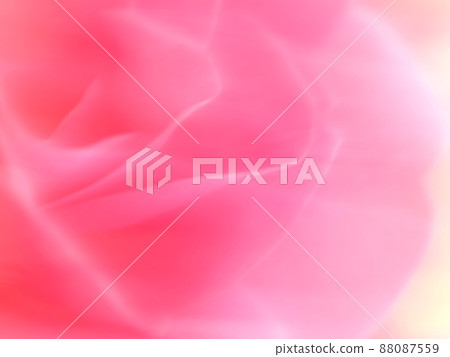 粉紅玫瑰背景材料 88087559
