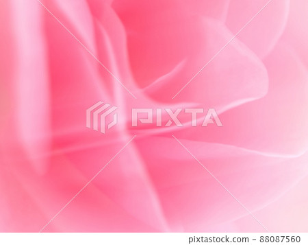 粉紅玫瑰背景材料 粉紅玫瑰背景材料 88087560