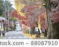 Autumn leaves highway in Gifu 88087910