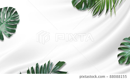 Tropical leaves banner on white background with copy space Tropical leaves banner on white background with copy space 88088155