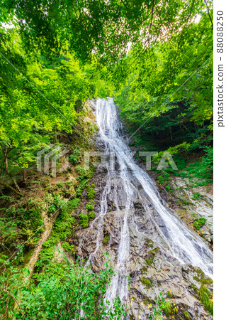 Marugami Waterfall covered in green Marugami Waterfall covered in green 88088250