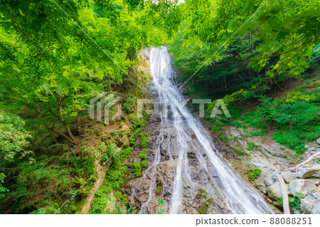 Marugami Waterfall covered in green 88088251