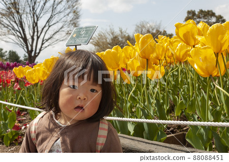 Tulips and children 88088451
