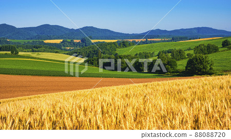 Beautiful rural scenery of the hill town Biei 88088720