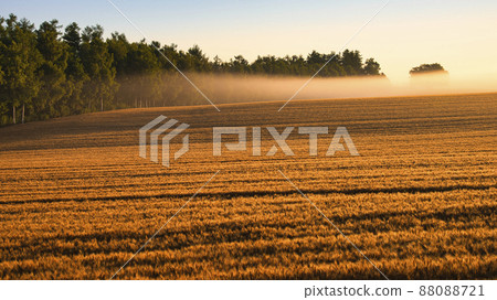 Beautiful rural scenery of the hill town Biei 88088721