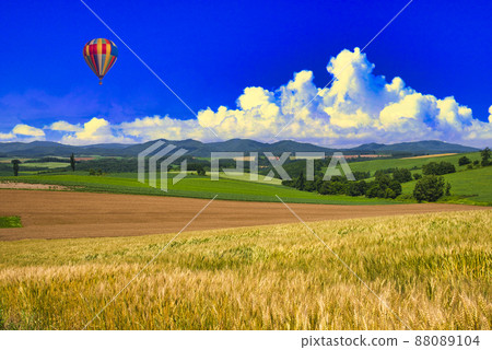 Beautiful rural scenery of the hill town Biei Beautiful rural scenery of the hill town Biei 88089104