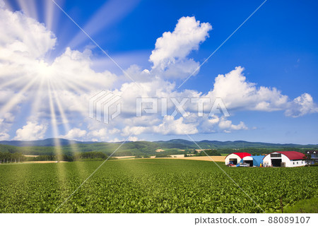 Beautiful rural scenery of the hill town Biei Beautiful rural scenery of the hill town Biei 88089107