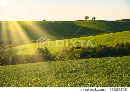 Beautiful rural scenery of the hill town Biei Beautiful rural scenery of the hill town Biei 88089108