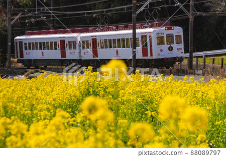 Wakayama Electric Railway Strawberry Train Wakayama City, Wakayama Prefecture Wakayama Electric Railway Strawberry Train Wakayama City, Wakayama Prefecture 88089797