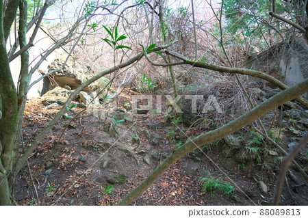 Ruins of desolate poison gas storage Okunoshima, Takehara City, Hiroshima Prefecture 88089813