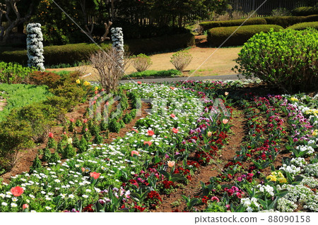 春天的花門柱和花壇盛開的景色 88090158