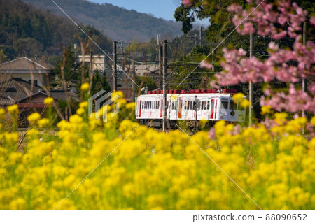 Spring strawberry train Wakayama City, Wakayama Prefecture Spring strawberry train Wakayama City, Wakayama Prefecture 88090652