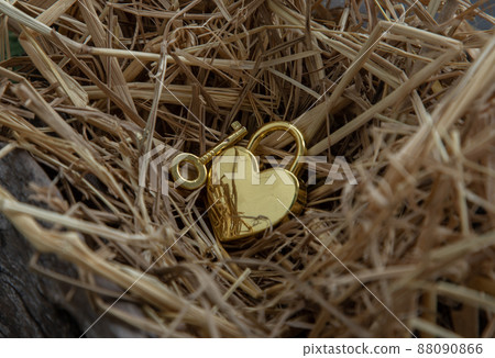 Golden heart shaped love padlock with Gold key on straw background. 88090866