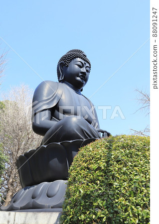 Tokyo Daibutsu of Jorenji Temple Akatsuka, Itabashi-ku, Tokyo 88091247