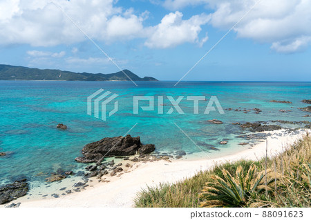 Uchidahara coast of Amami Oshima Uchidahara coast of Amami Oshima 88091623