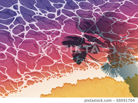 Sandy beach and plant silhouette_sunset Sandy beach and plant silhouette_sunset 88091704