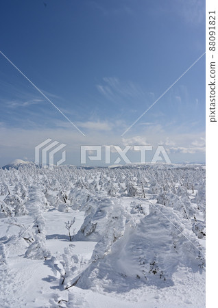Spring Hachimantai Gentamori rime c 88091821