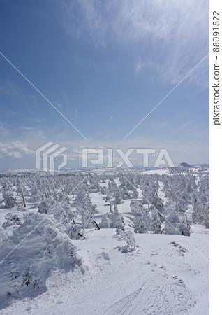Spring frost at Gentamori Forest in Hachimantai 88091822