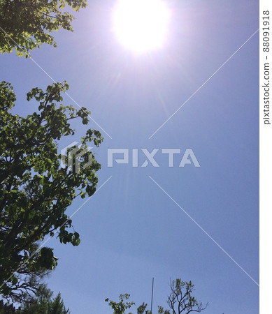 A sunny day 88091918