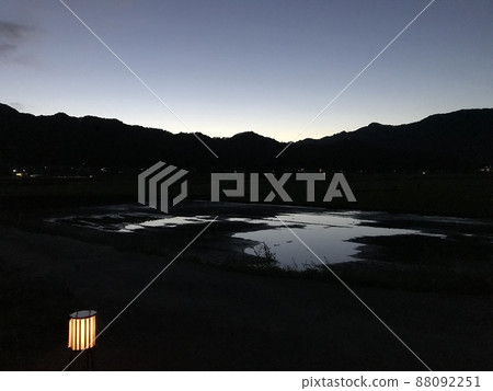 晚上稻田 88092251