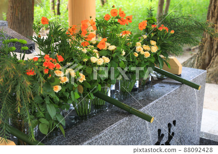 Arahito Shrine in summer 88092428